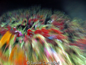 Bombs on the Umbria !!
Slow shutter speed and a little c... by Jackie Campbell 